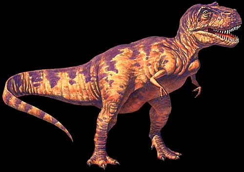 Tyrannosaurus Rex2.jpg